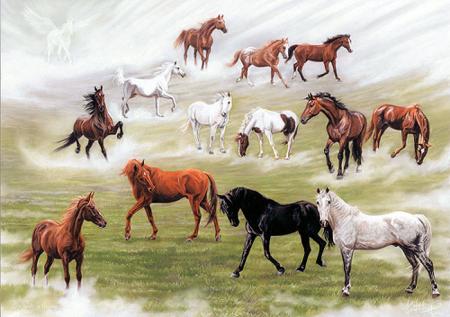 Rêve de Chevaux