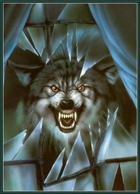 Loup en colère