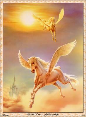 the unicorns........trop belle l'image