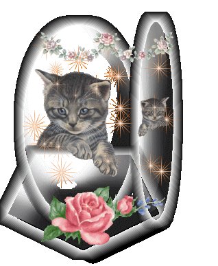 Trop mimi