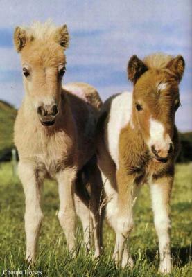 Oh!!! Les beaux amoureux lol!!!! ils sont trop choux.....