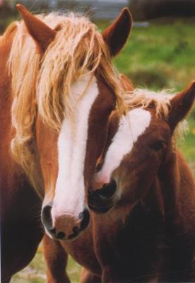 L'amour d'une mére c'est beau.....