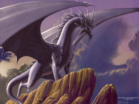 Dragon violet