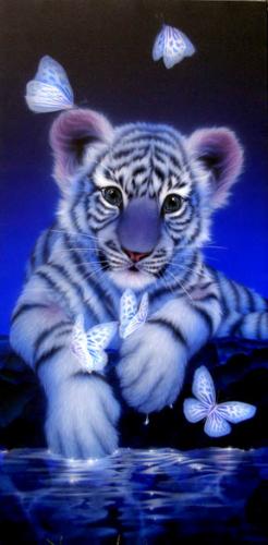 Trop beau...