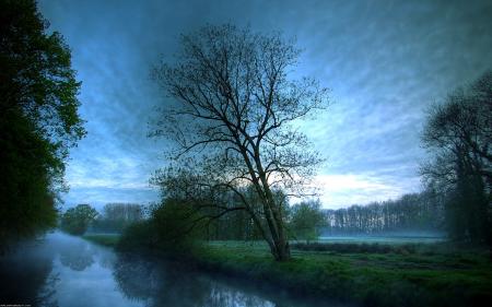 Paysage mystic