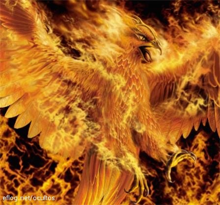 Fumseck le phenix