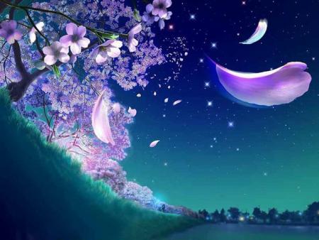Dream