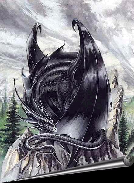 Dragon noir
